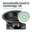 Snowdon-Acoustically-Tuned-in-Cambridge.jpg